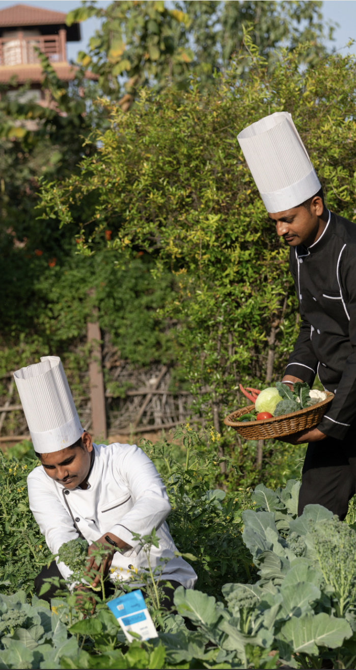 CULINARY EXCELLENCE FARM-TO-TABLE DINING